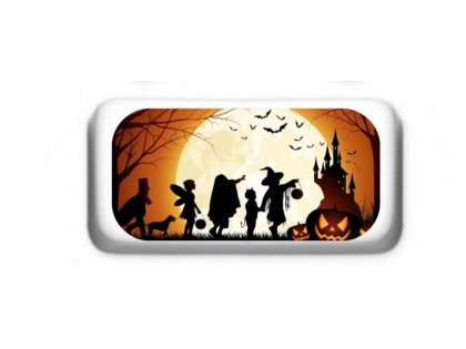  Halloween Professional Size Double 6 Dominoes without spinner  in Gift box